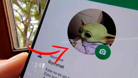 Así puedes poner un video en tu foto de perfil de WhatsApp para presumirlo